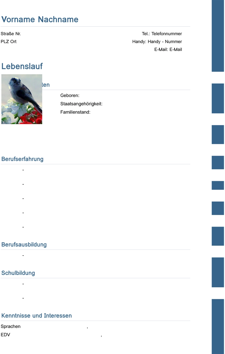 word-vorlage-fuer-bewerbung-und-lebenslauf
