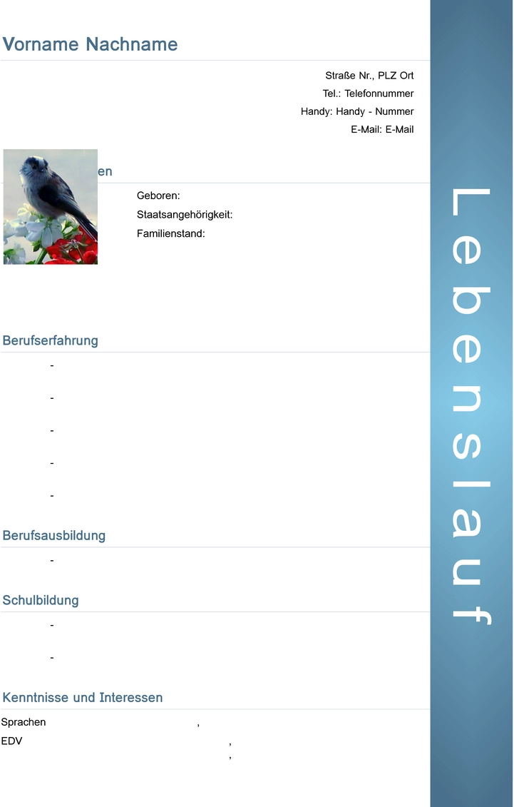 word-vorlage-fuer-bewerbung-und-lebenslauf