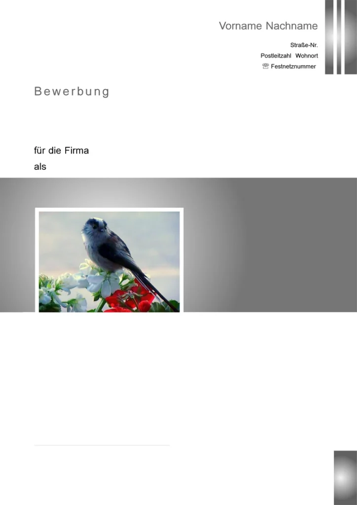 word-vorlage-fuer-bewerbung-und-lebenslauf