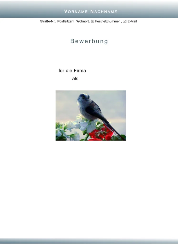 word-vorlage-fuer-bewerbung-und-lebenslauf