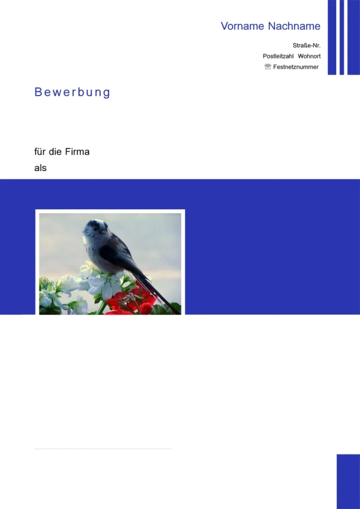 word-vorlage-fuer-bewerbung-und-lebenslauf