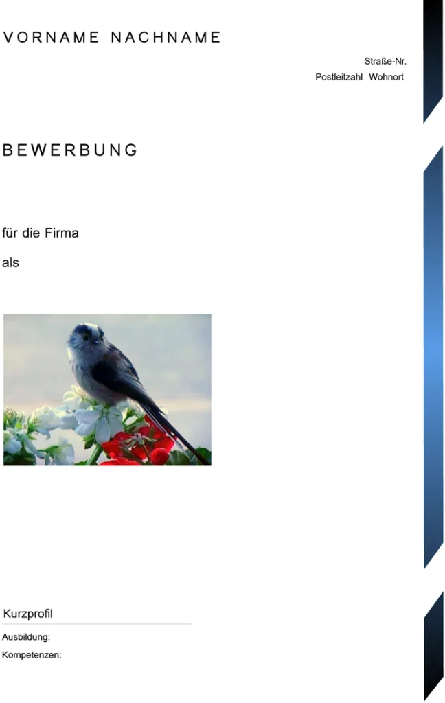word-vorlage-fuer-bewerbung-und-lebenslauf