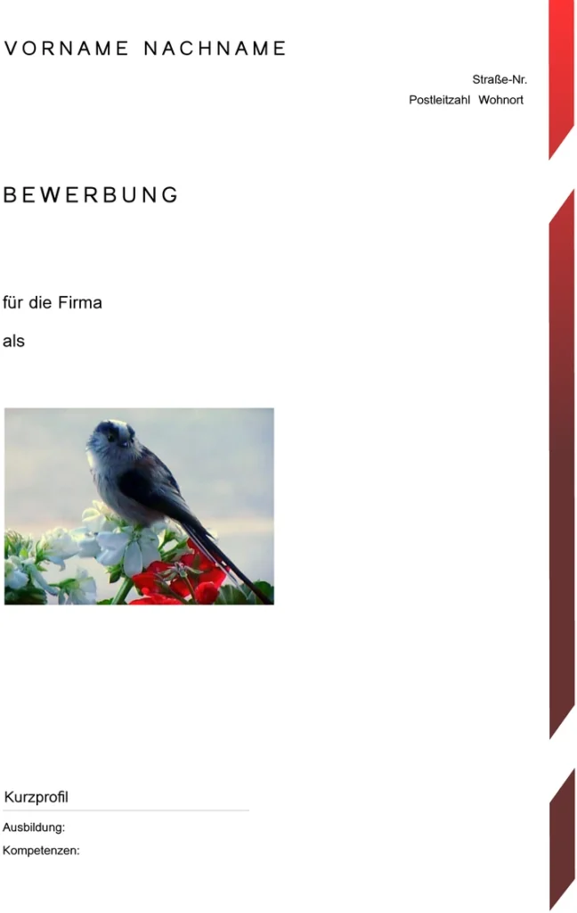 word-vorlage-fuer-bewerbung-und-lebenslauf