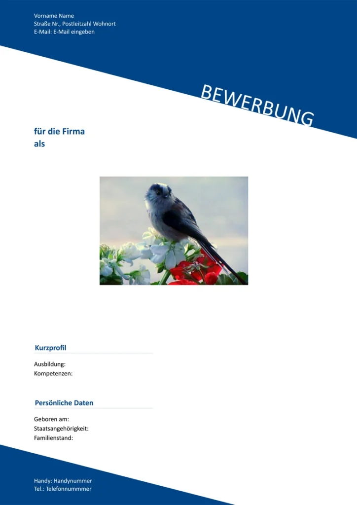 word-vorlage-fuer-bewerbung-und-lebenslauf