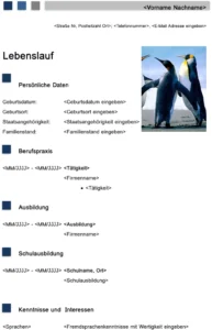word-vorlage-fuer-bewerbung-und-lebenslauf