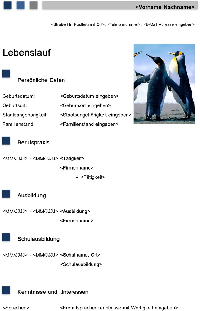 word-vorlage-fuer-bewerbung-und-lebenslauf
