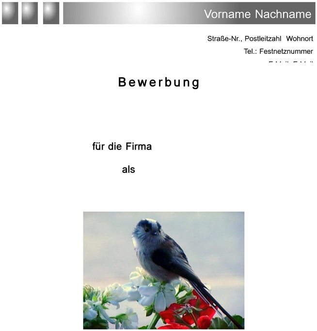 word-vorlage-fuer-bewerbung-und-lebenslauf