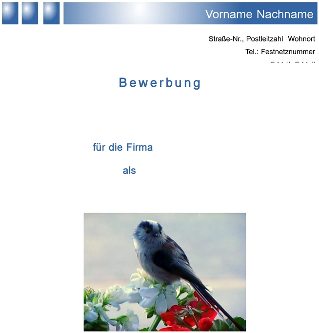 word-vorlage-fuer-bewerbungen-und-lebenslaeufe