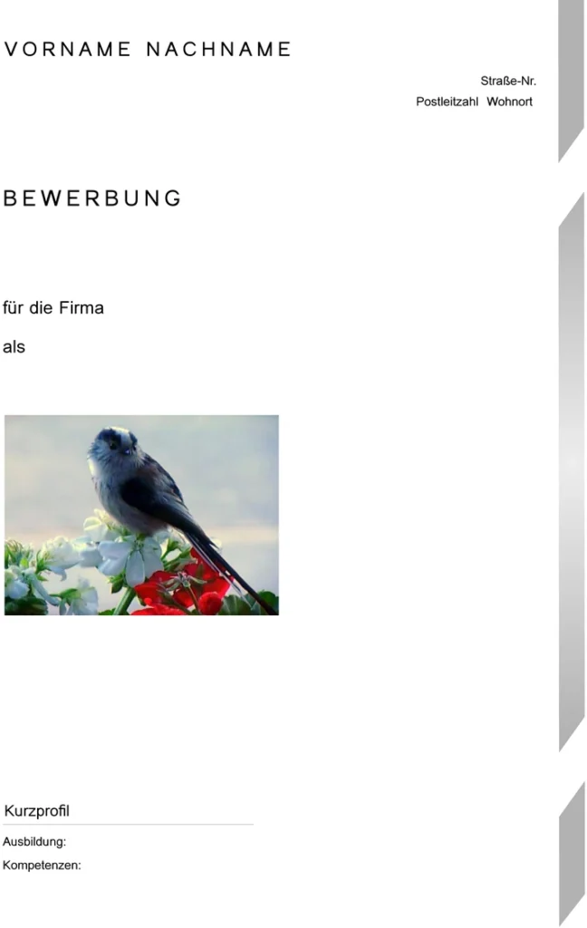 word-vorlage-fuer-bewerbungen-und-lebenslaeufe