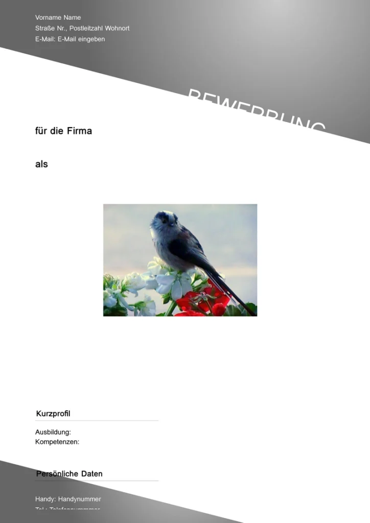 word-vorlage-fuer-bewerbungen-und-lebenslaeufe