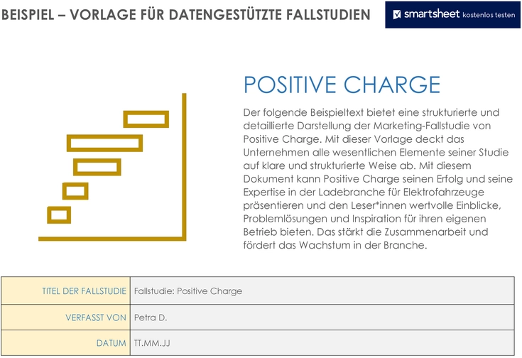 word-vorlage-fuer-datengestuetzte-fallstudien-unterstuetzung
