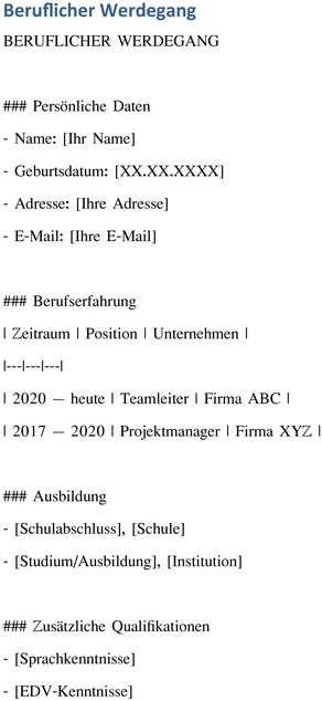 word-vorlage-fuer-den-beruflichen-werdegang