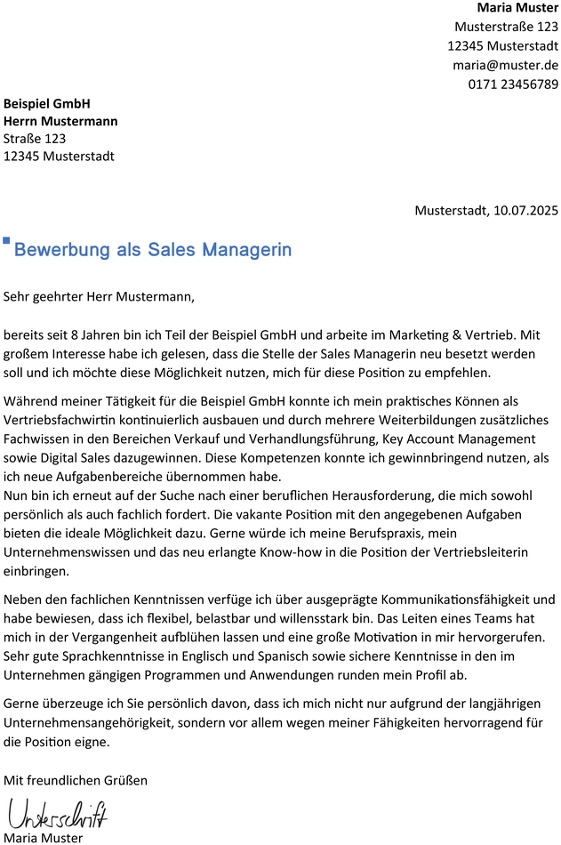 word-vorlage-fuer-eine-professionelle-bewerbung