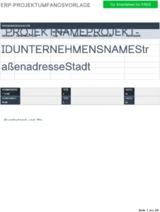 word-vorlage-fuer-erp-projektmanagement-scope-dokumentation