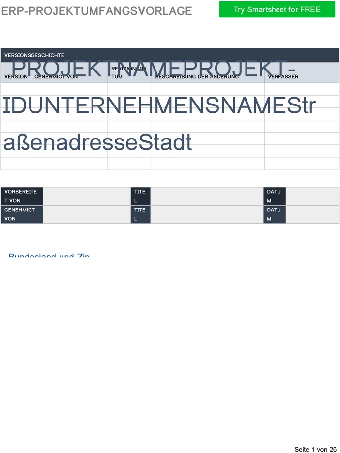 word-vorlage-fuer-erp-projektmanagement-scope-dokumentation