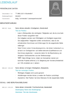 word-vorlage-fuer-lebenslauf-strukturiert-einladend