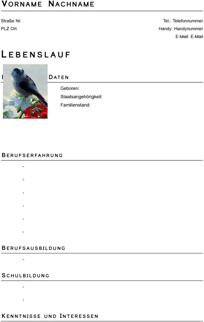 word-vorlage-fuer-lebenslauf-und-bewerbung
