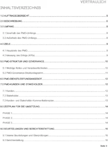 word-vorlage-fuer-pmo-auftragsdokument-mit-klarer-struktur