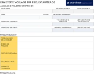 word-vorlage-fuer-projektauftraege-mit-umfassender-uebersicht