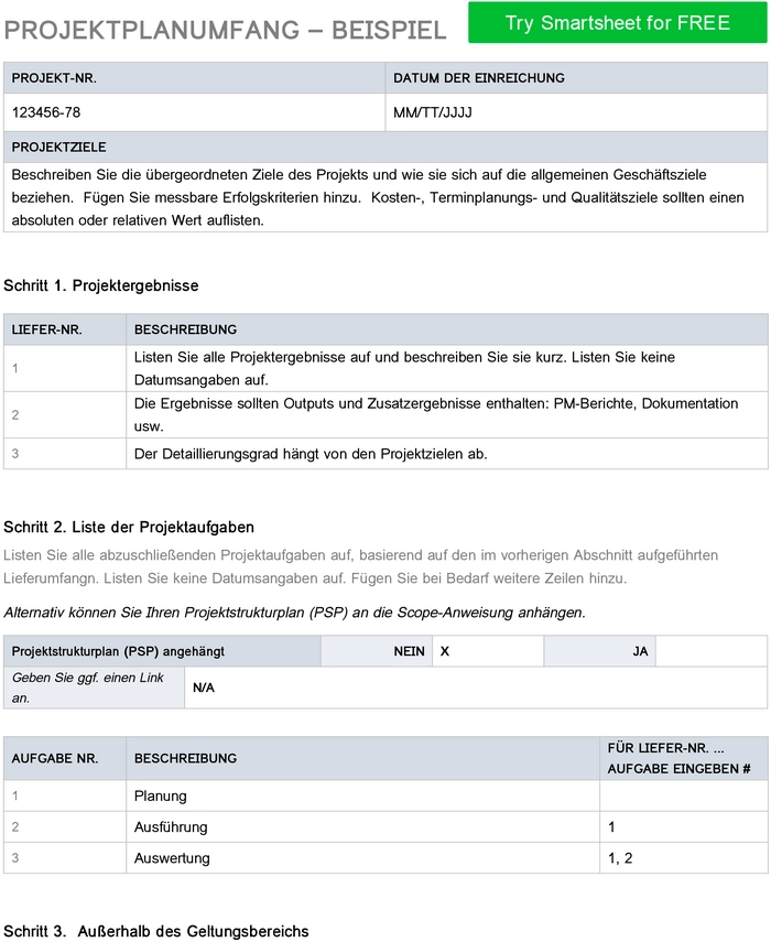 word-vorlage-fuer-projektmanagement-mit-zielsetzung-und-budget