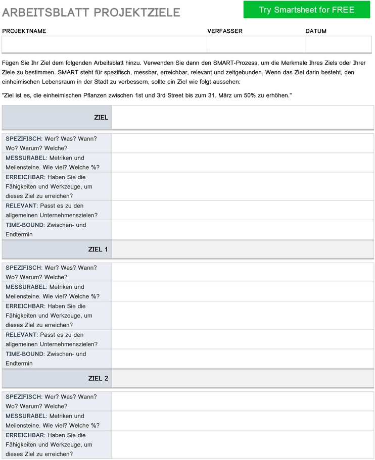 word-vorlage-fuer-projektziele-planung-umsetzung