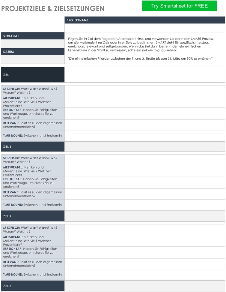word-vorlage-fuer-projektziele-und-zielsetzungen