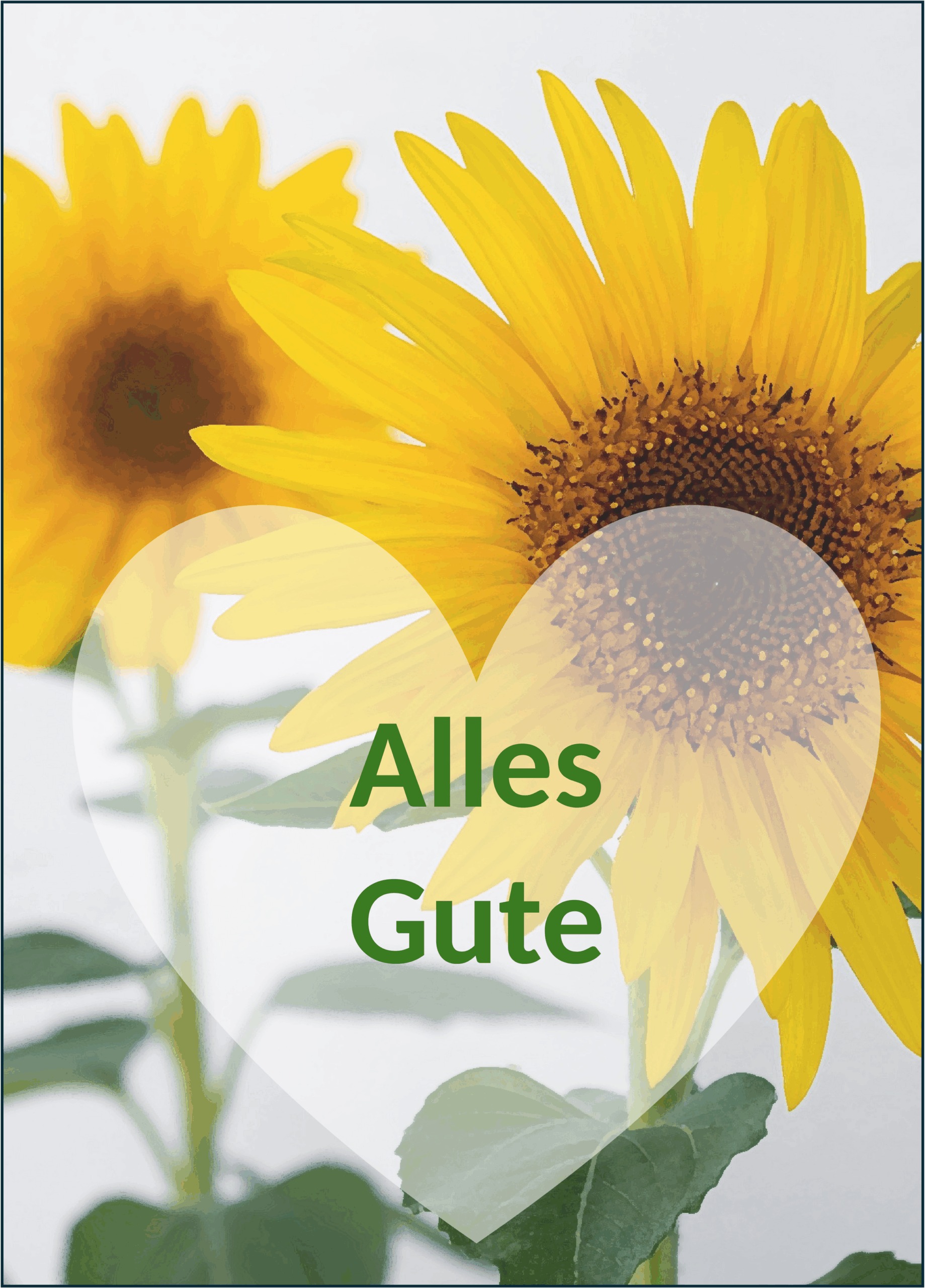 Word-Vorlage Geburtstagskarte Sonnenblume