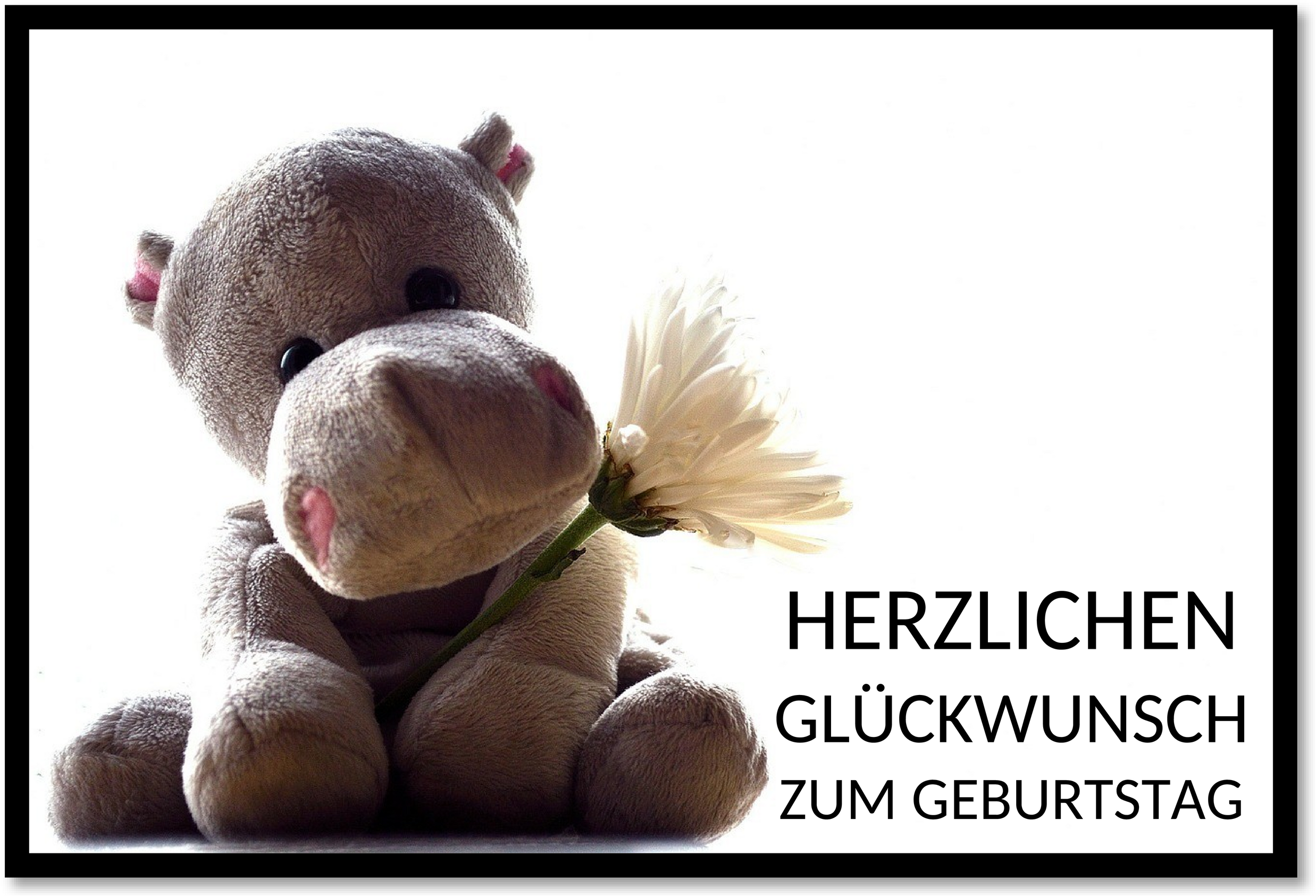 Word-Vorlage Geburtstagskarten