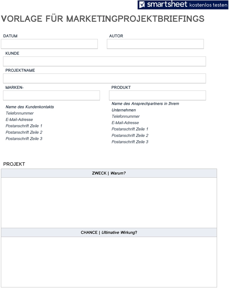 word-vorlage-marketingprojektbriefing-mit-struktur