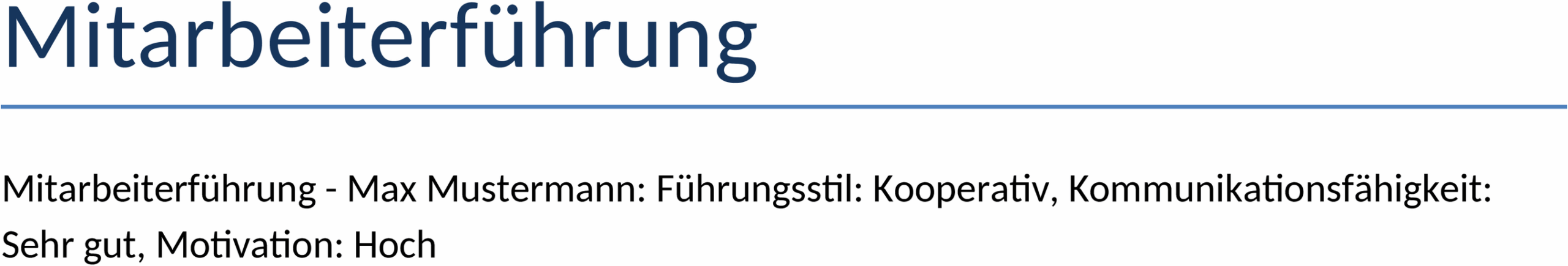 Word-Vorlage Mitarbeiterführung