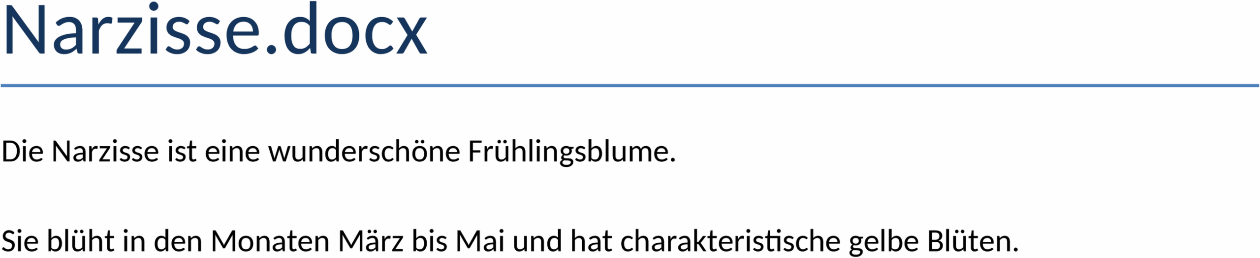 Word-Vorlage Narzisse