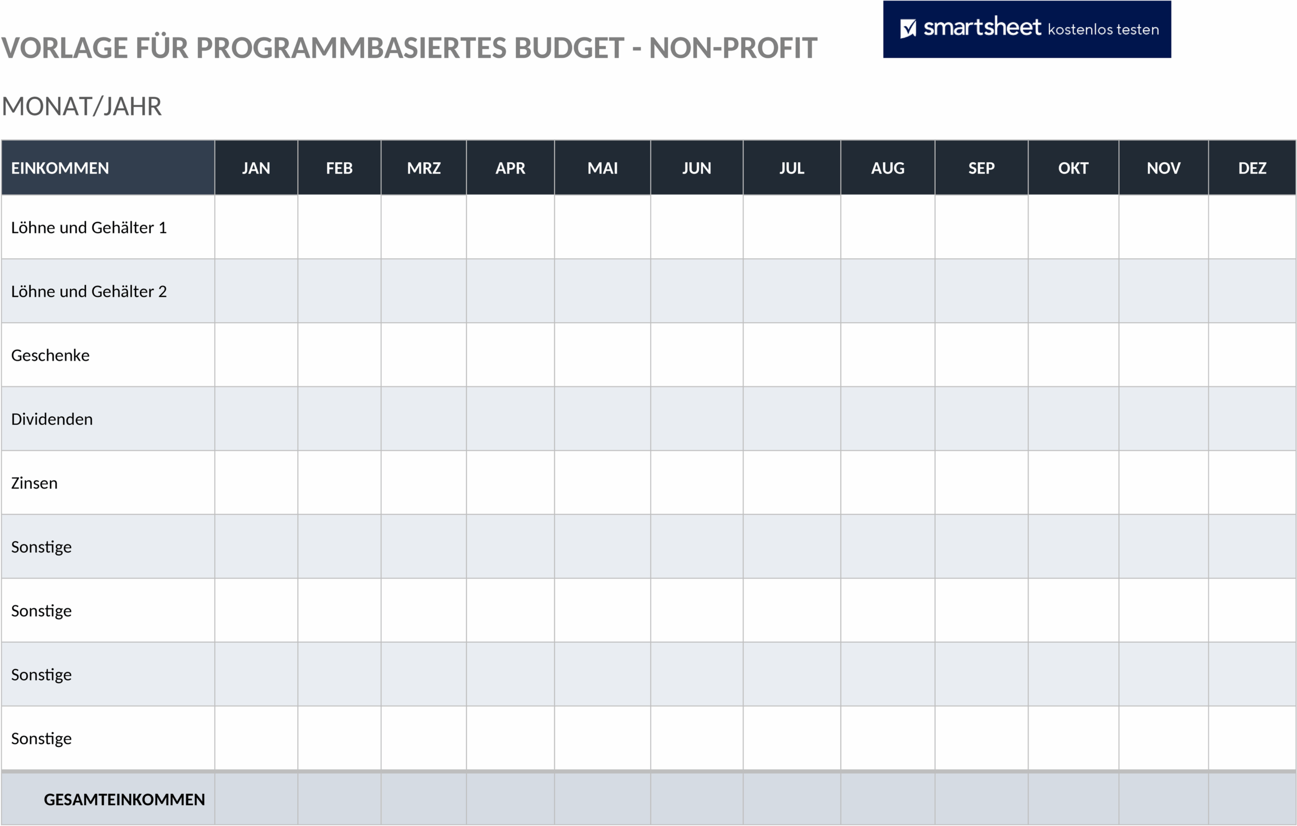 Word Vorlage: Programmbasiertes Budget für Non-Profit-Organisationen