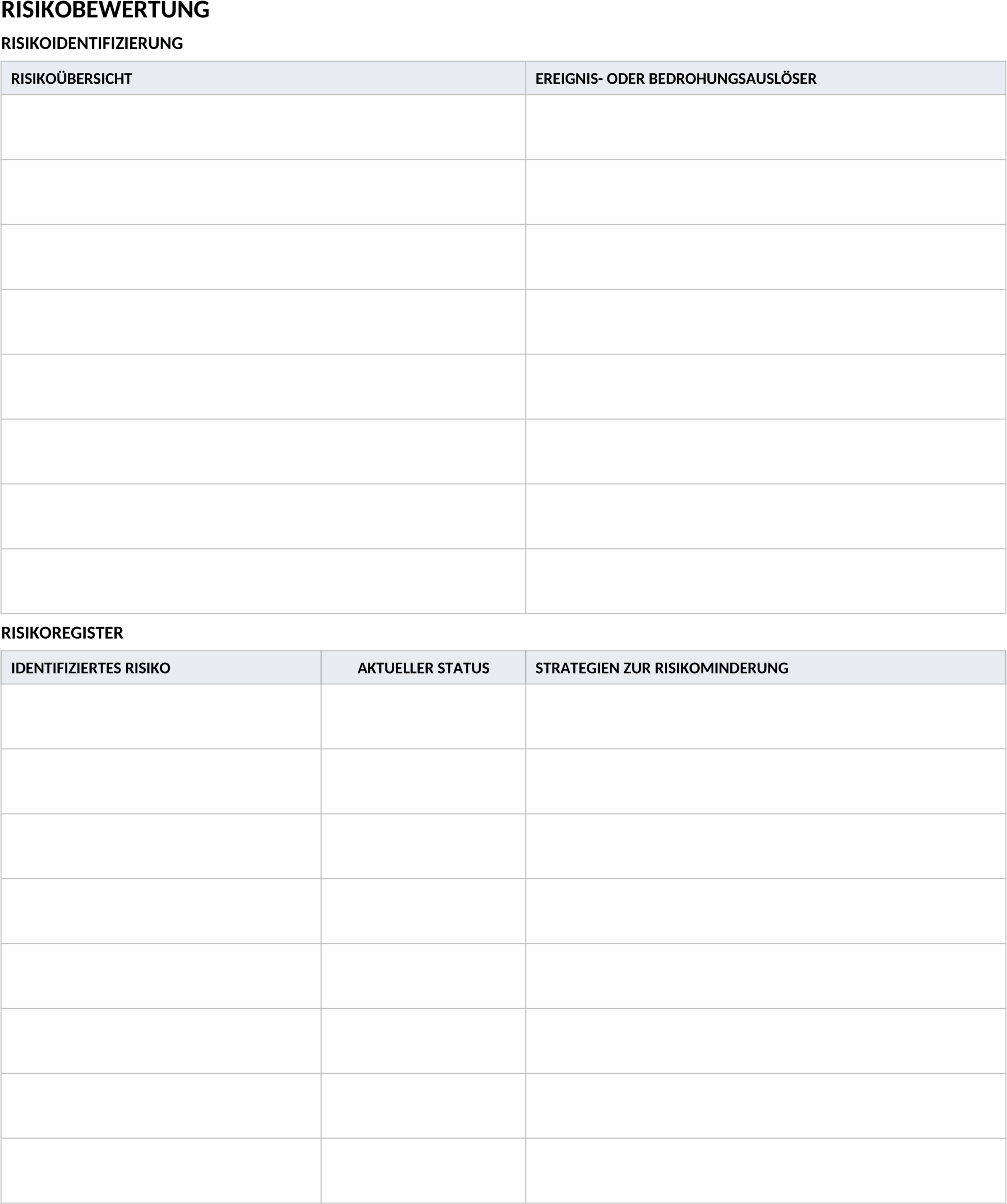 Word-Vorlage Projekt Risiko-Management-Plan