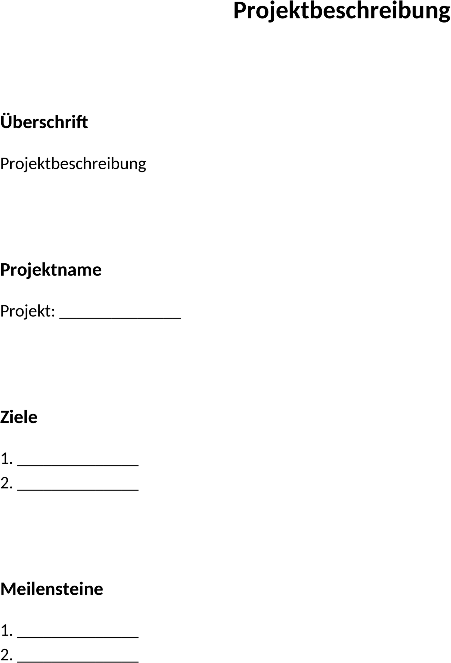 Word-Vorlage für Projektbeschreibung