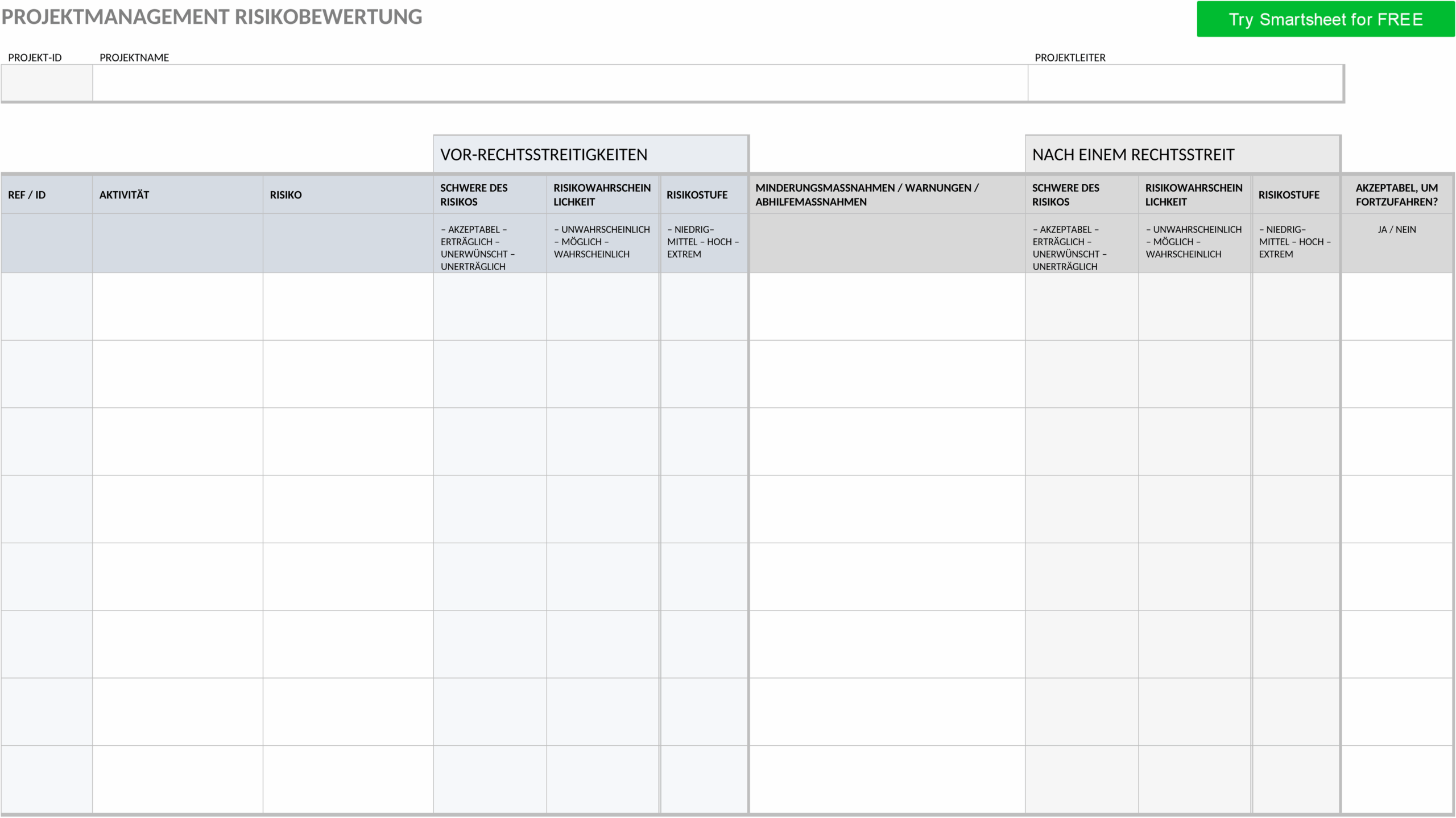 Word-Vorlage Projektmanagement Risikobewertung