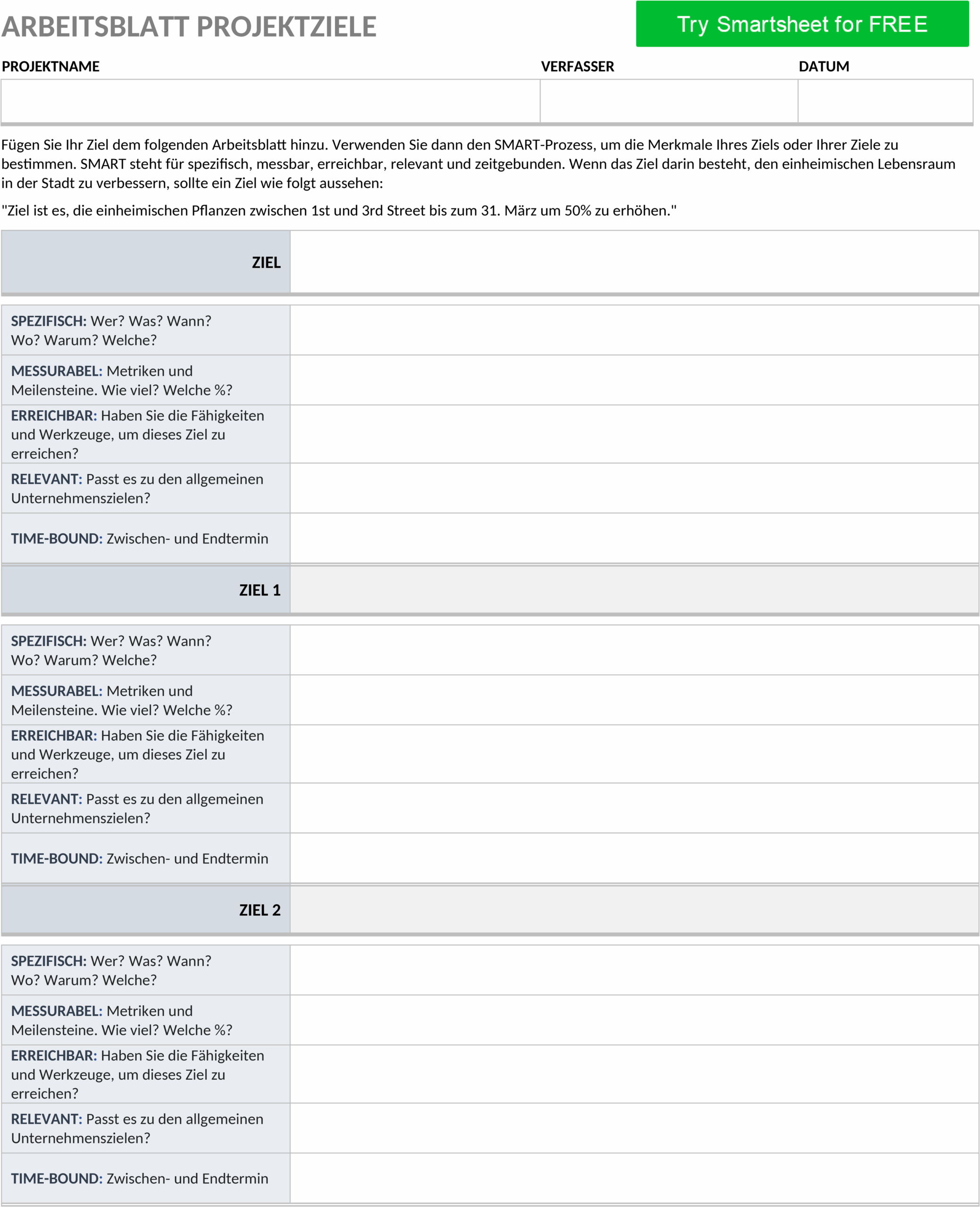 Word-Vorlage Projektziele