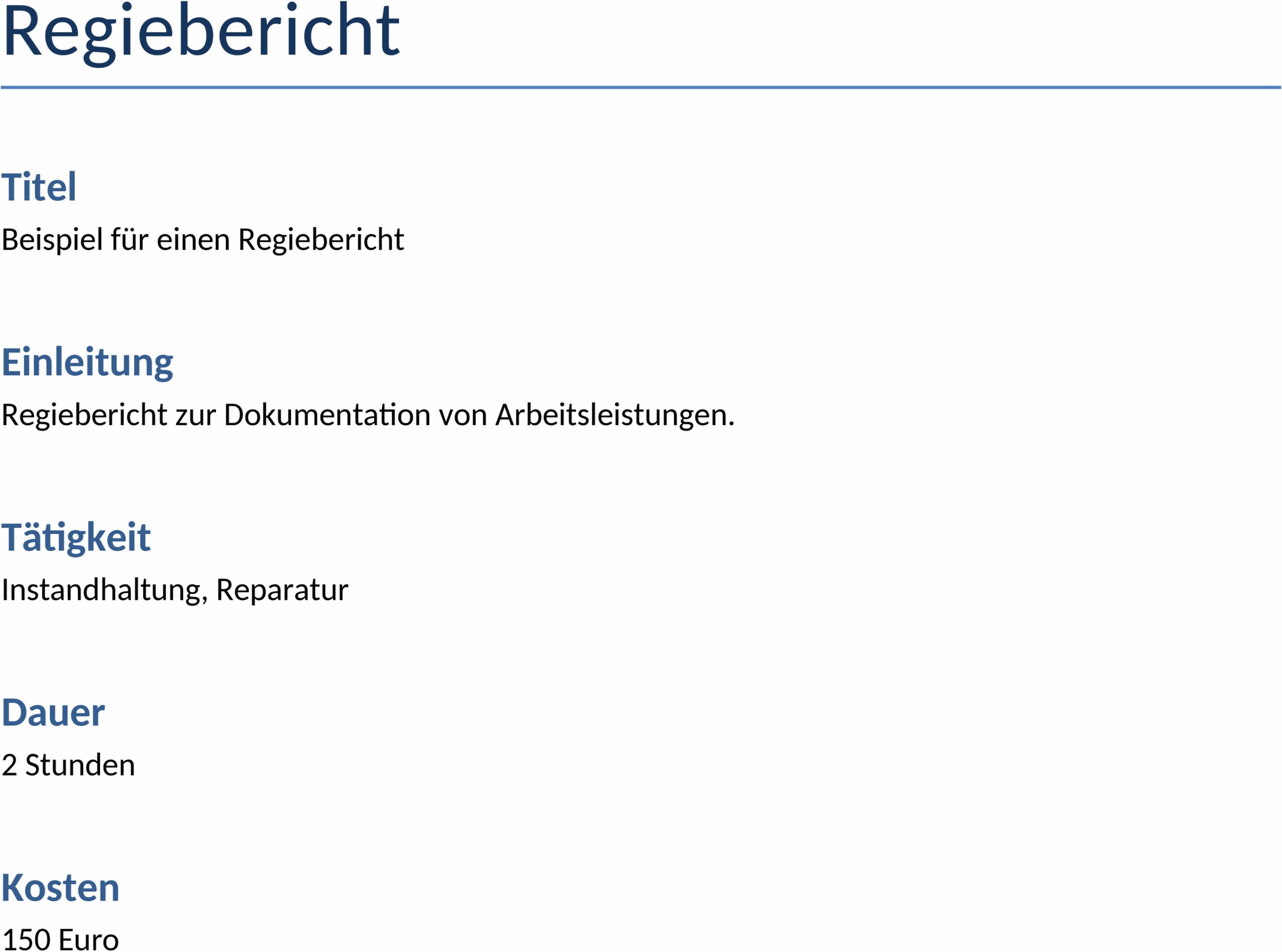 Word-Vorlage Regiebericht