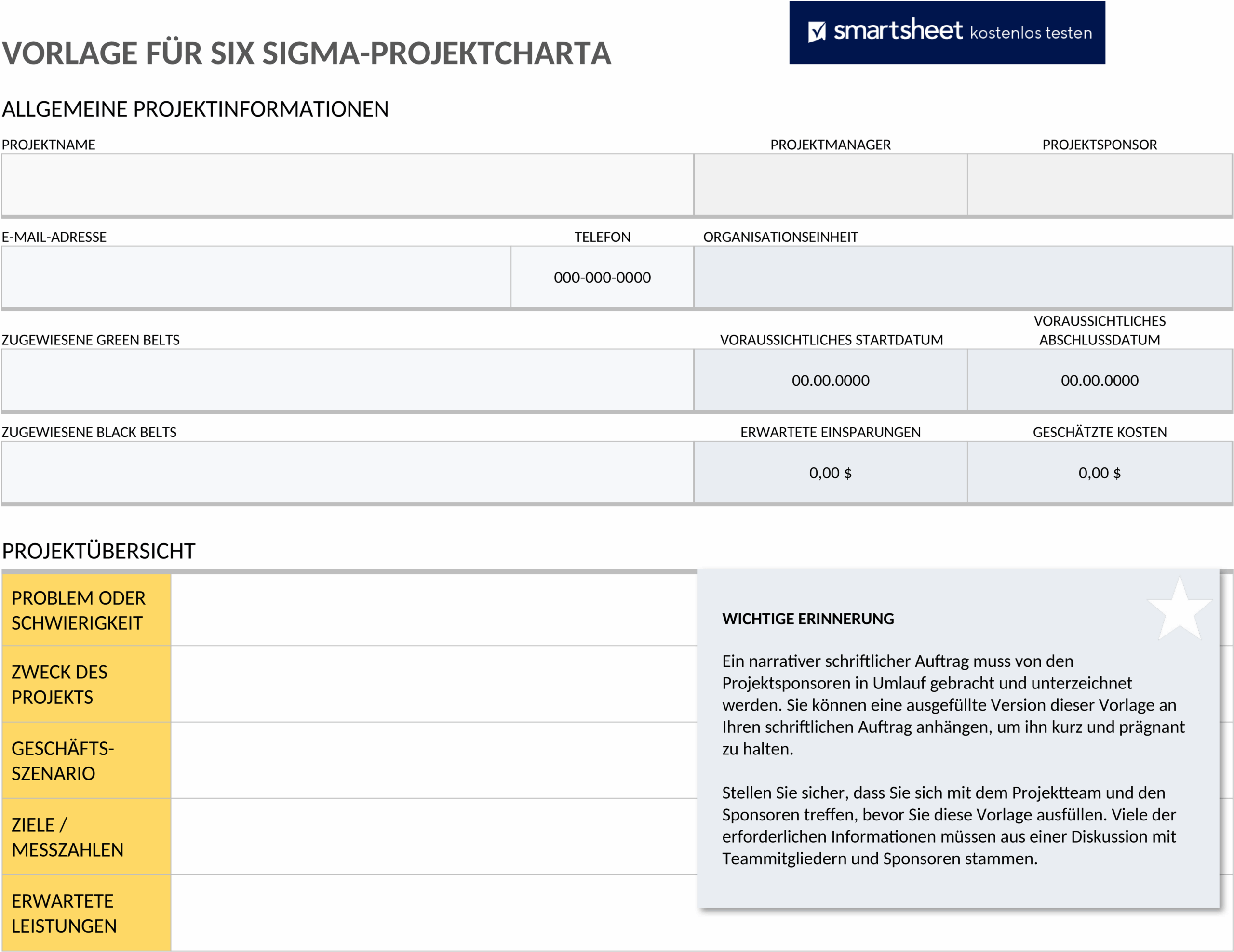 Word Vorlage Six Sigma Project Charter