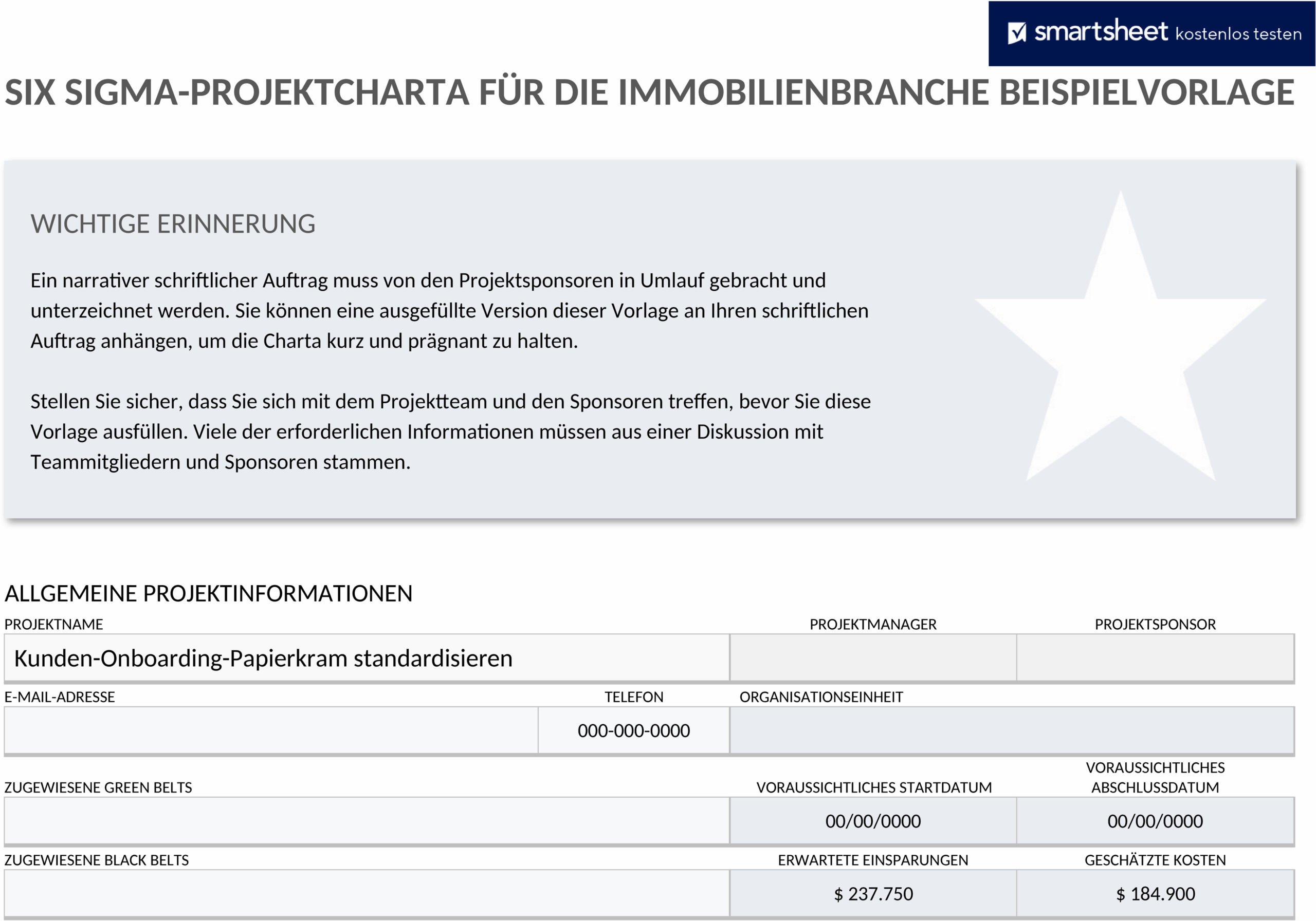 Word Vorlage: Six Sigma Projekt Charter für Immobilien