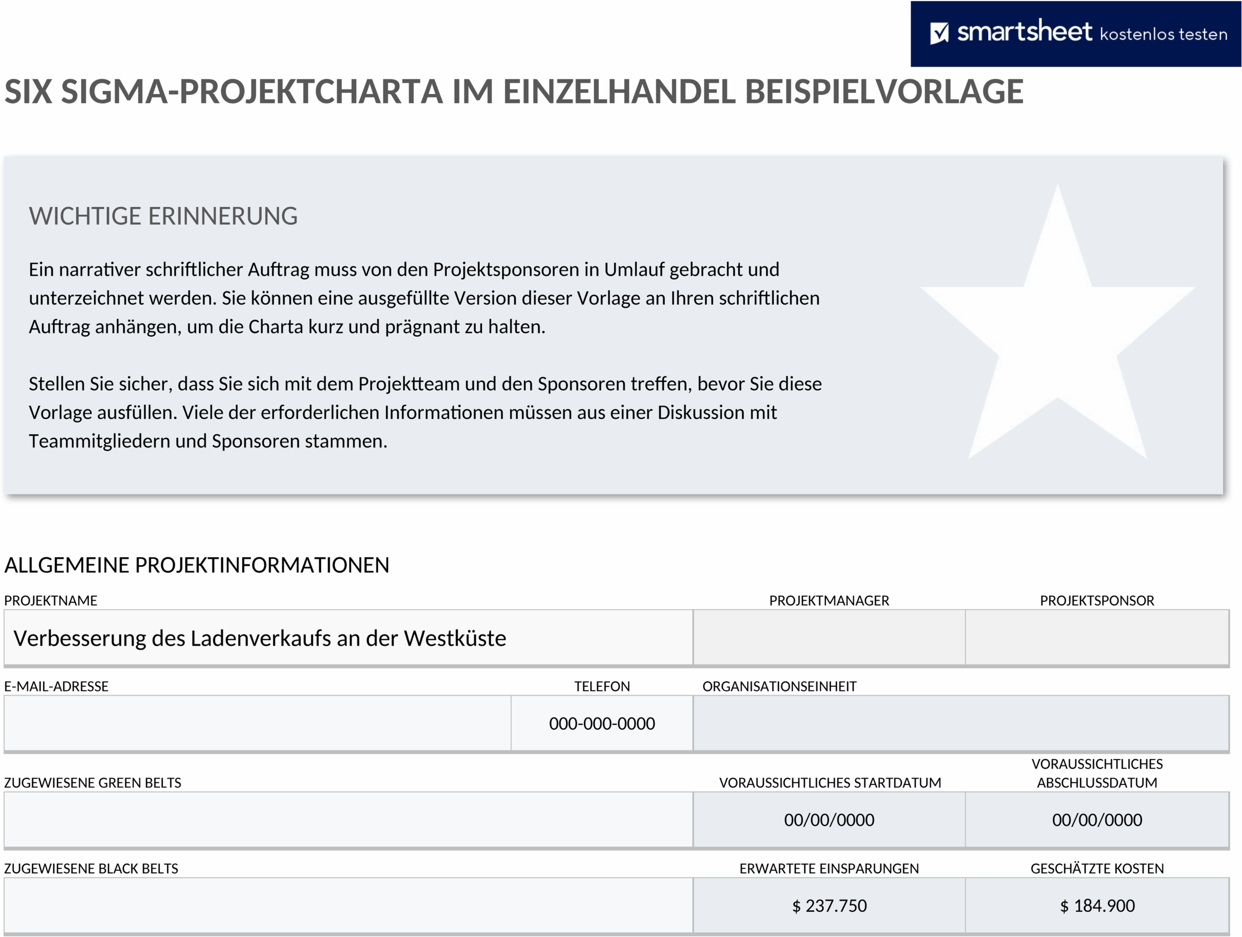 Word-Vorlage Six Sigma Projektstrukturplan Einzelhandel