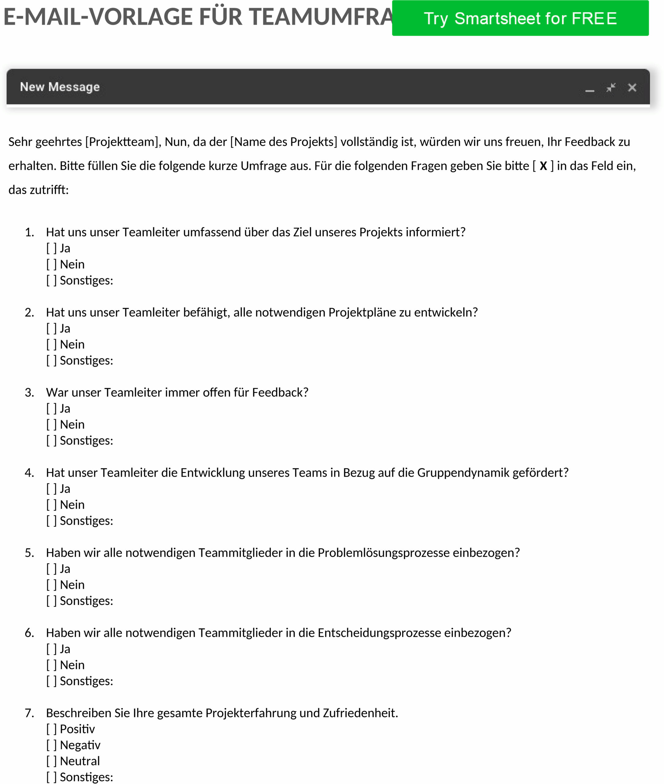 Word-Vorlage Teamumfrage E-Mail