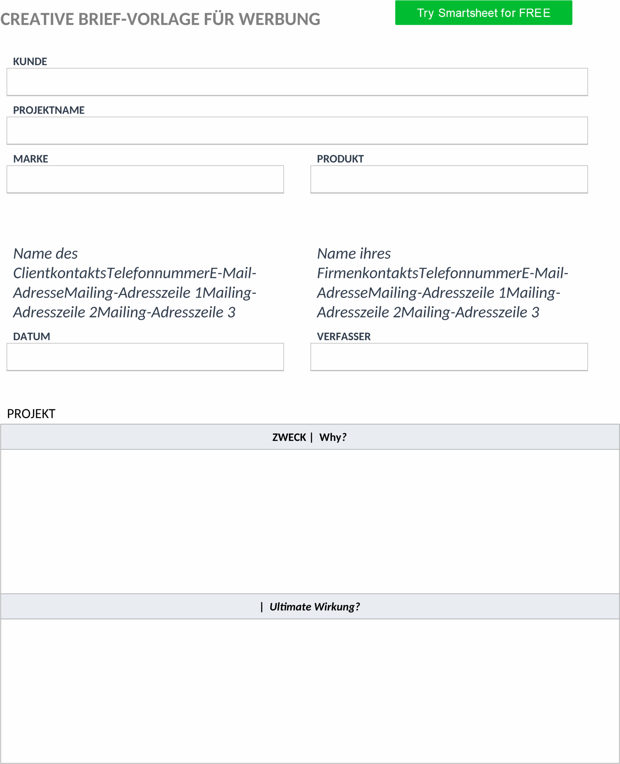 Word-Vorlage Werbebriefing