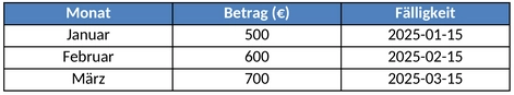 zahlungsplan-fuer-finanzen-und-bueroorganisation