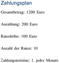 zahlungsplan-vorlage-fuer-finanzielle-organisation